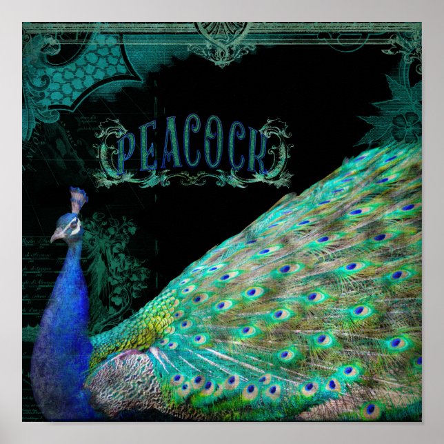 Modern Vintage Peacock Elegant Wall Art Side View (Front)