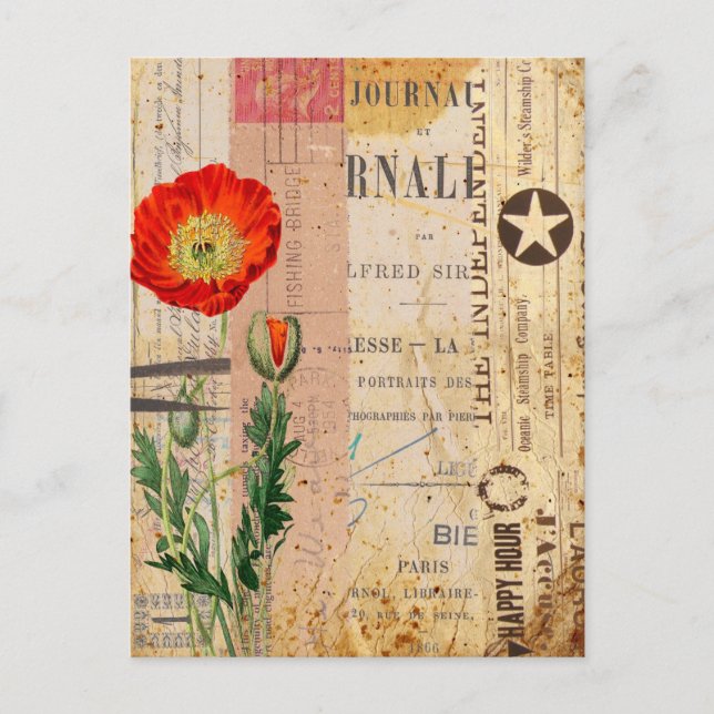 Modern Vintage Poppy Flowers collage art Postcard (Front)