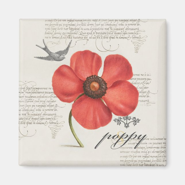 Modern Vintage Poppy Illustration Magnet (Front)
