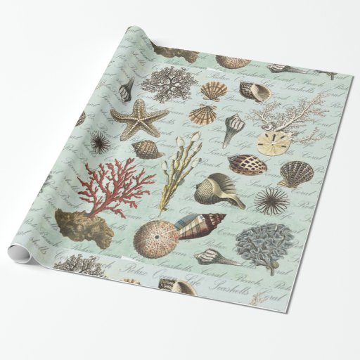 Image of Modern Vintage Seashells Wrapping Paper