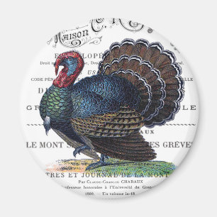 modern vintage Turkey Magnet