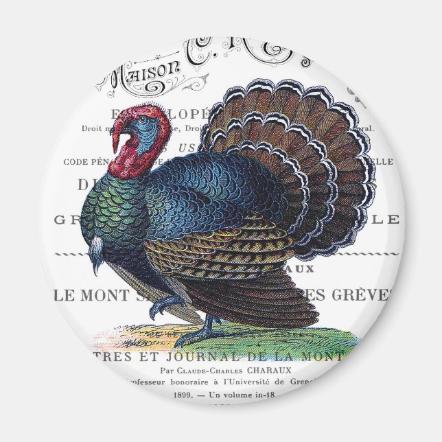 modern vintage Turkey Magnet (Front)