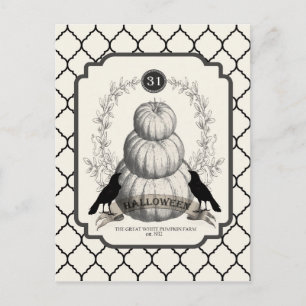 modern vintage white pumpkins postcard