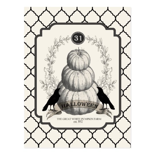 modern vintage white pumpkins postcard
