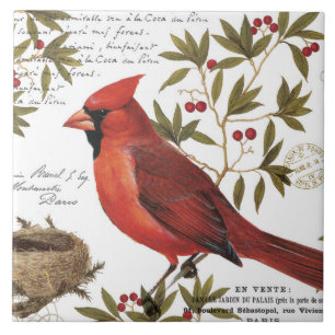 modern vintage winter cardinal tile