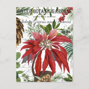 Modern vintage winter garden floral postcard