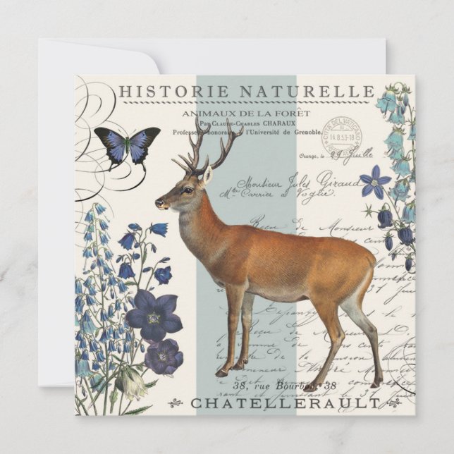 modern vintage woodland deer (Front)