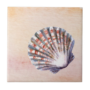 Modern watercolor background Seashell Painting Tile