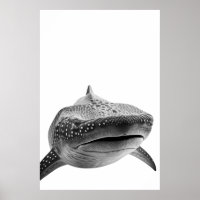 Modern Whale Shark Portrait black white