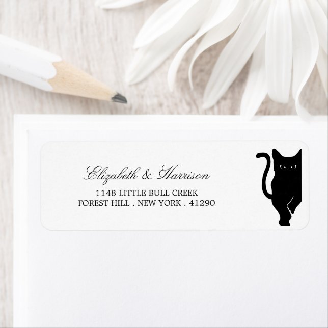 Modern Whimsical Black Cat Wedding (Insitu)