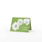Modern White Daisies Botanical Colourful Birthday
