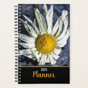 Modern White Daisy Flower Special Occasions Planner