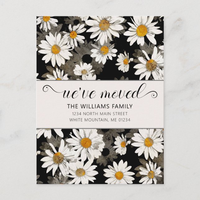 Modern White Daisy On Black Floral Announcement Postcard (Front)