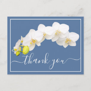 Modern White Orchid Elegant Botanical Thank You Postcard