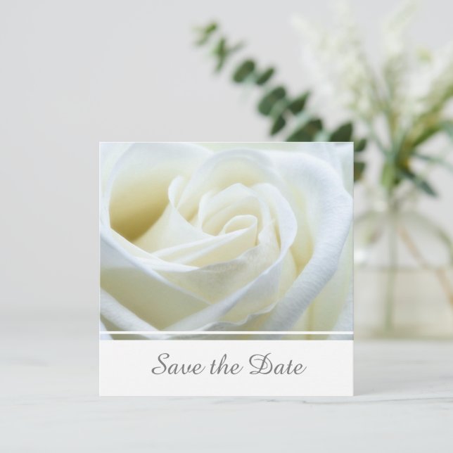 Modern White Rose Save The Date (Standing Front)