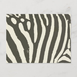 Modern Zebra Stripe Animal Print Pattern Postcard