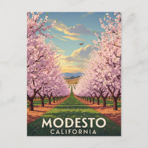 Modesto California Central Valley Postcard