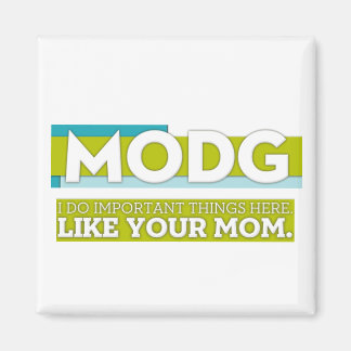 MODG magnet