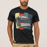 Modular Synthesizer Keyboard Vintage Analogue Cat