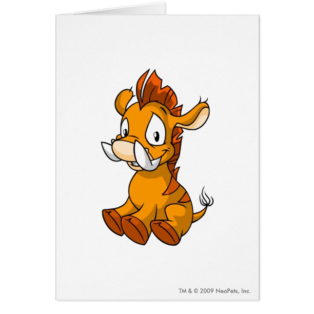 Moehog Orange (Front)