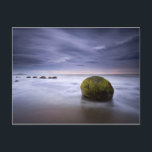Moeraki Boulders Sunrise Seascape Postcard<br><div class="desc">Moeraki boulders sunrise seascape</div>