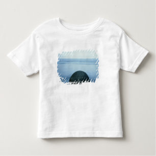 Moeraki Boulders Toddler T-Shirt