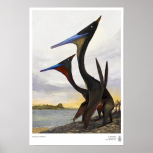 Moganopterus at the Beach Poster