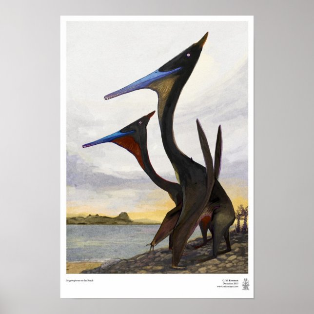 Moganopterus at the Beach Poster (Front)