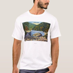 Mohawk Trail View of Cold River Bridge T-Shirt