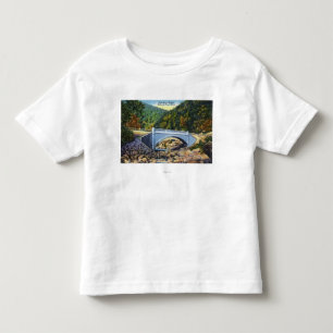 Mohawk Trail View of Cold River Bridge Toddler T-Shirt