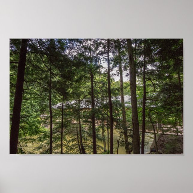 Mohican State Park's Covered Bridge, Ohio. Poster (Front)