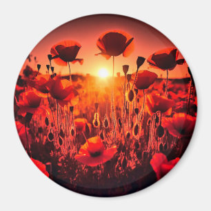 Mohn im Gegenlicht Magnet