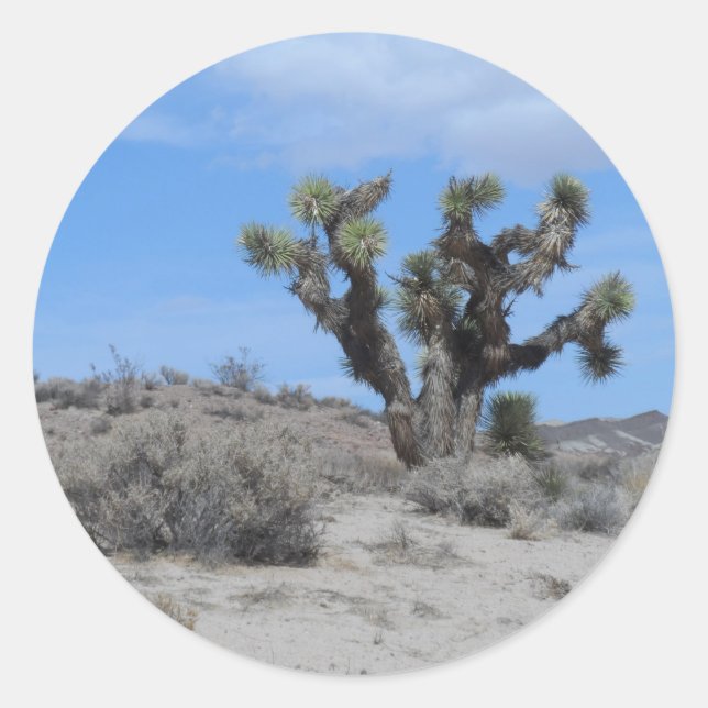 Mojave Desert Joshua Tree Classic Round Sticker (Front)