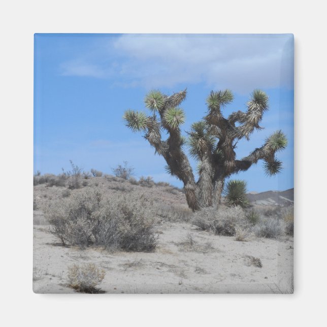Mojave Desert Magnet (Front)