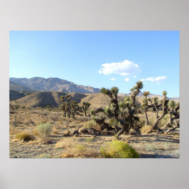 Mojave Desert scene 06 Poster (Front)