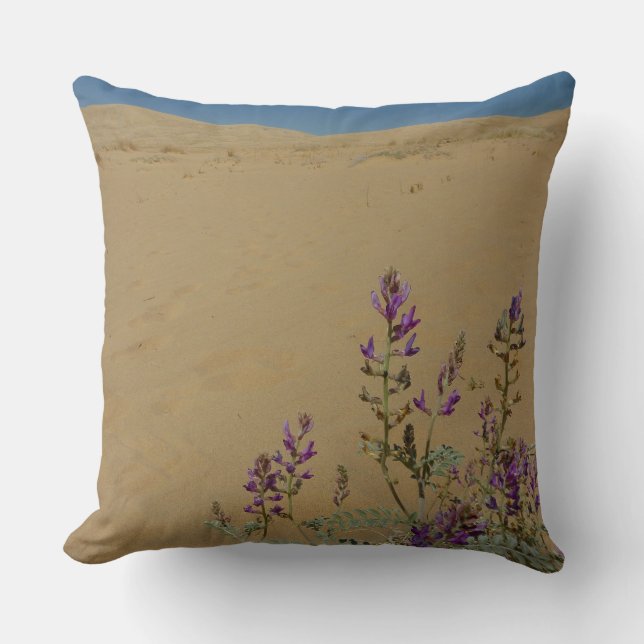 Mojave Indigo Bush and Kelso Dunes Cushion (Front)
