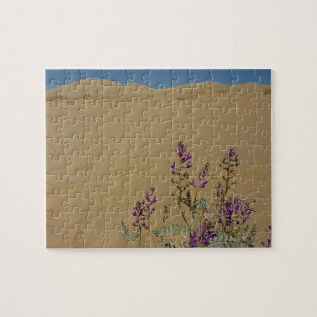 Mojave Indigo Bush and Kelso Dunes Jigsaw Puzzle (Horizontal)