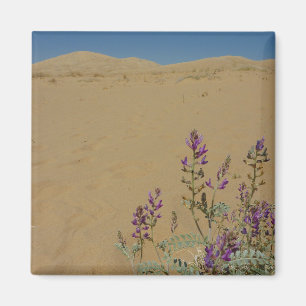 Mojave Indigo Bush and Kelso Dunes Magnet