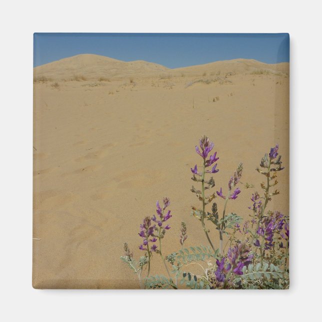 Mojave Indigo Bush and Kelso Dunes Magnet (Front)