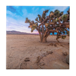 Mojave Joshua Tree Tile