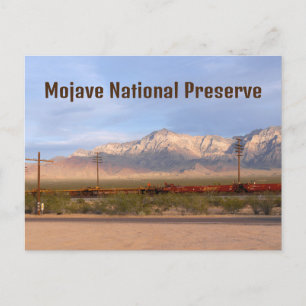 Mojave National Preserve California Postcard