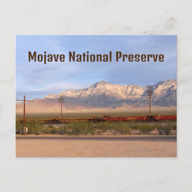Mojave National Preserve California Postcard (Front)