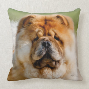 Mojo Chow Throw Pillow