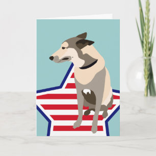 Mojo the Belgian Shepherd Card