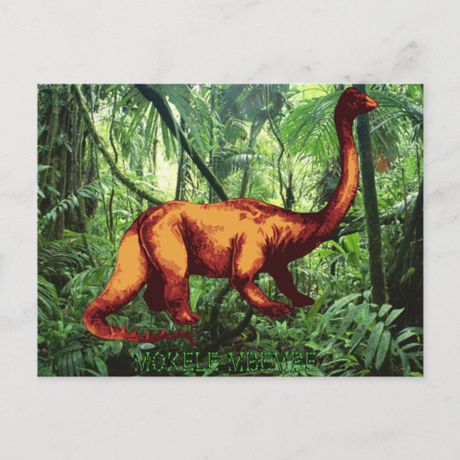 Mokele-mbembe Postcards (Front)