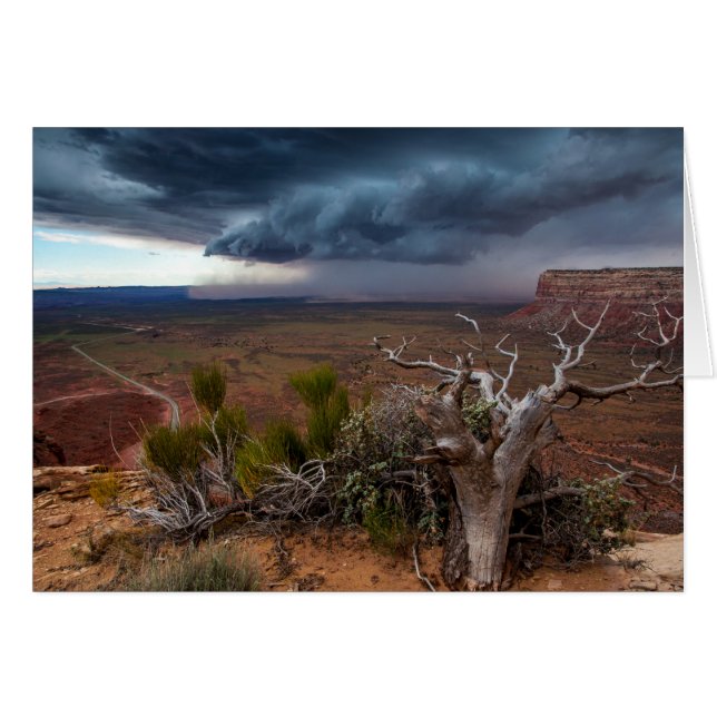 Moki Dugway Thunderstorm - Southern Utah (Front Horizontal)