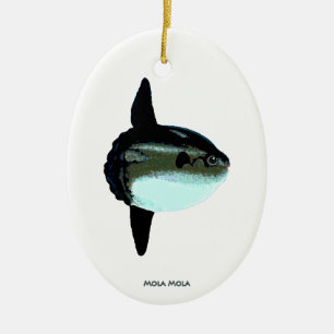 Mola Mola Ceramic Tree Decoration