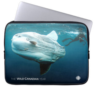 Mola Mola Laptop Sleeve