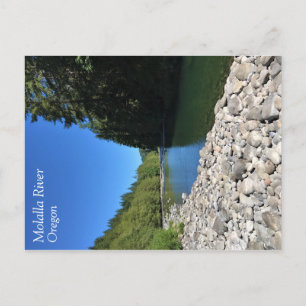 Molalla River, Oregon Postcard