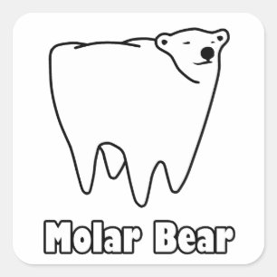 Molar Bear Polar Tooth Bear Square Sticker